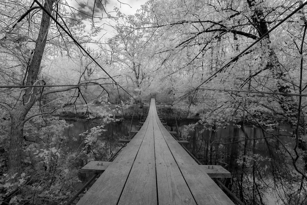 "That Bridge" by Alex Gulino