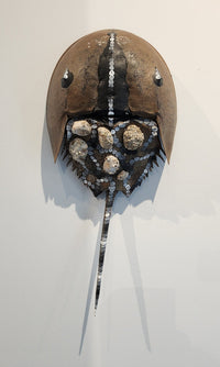 "Horseshoe Crab #37" by Warner Wada